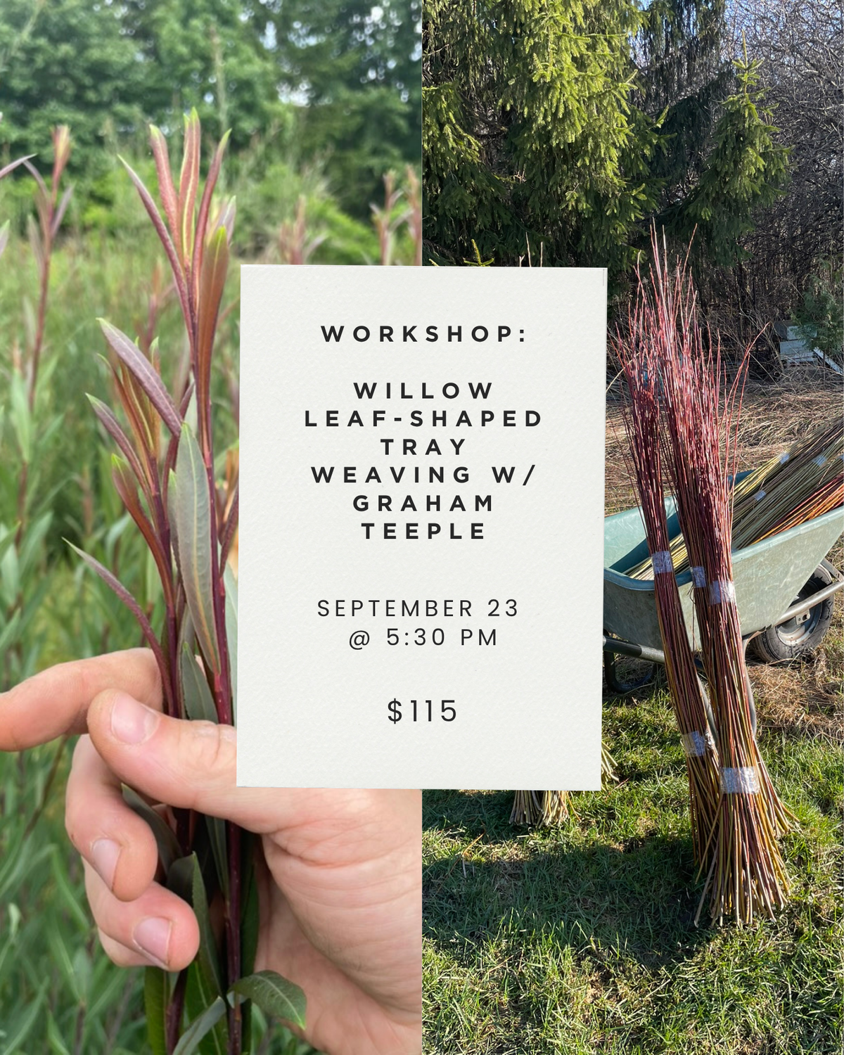 SEPT 23: Willow Leaf-Shaped Weaving w/ Graham Teeple @ 5:30PM - 8:30PM