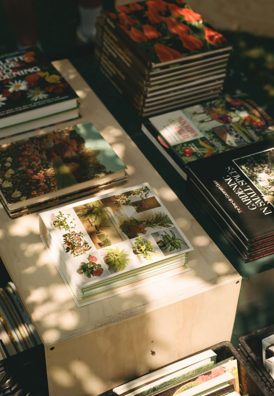SEPT 20: Nature Writing & Communal Collage w/ Jess Payne & Source Work @ 2PM - 4PM